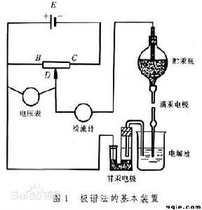 绿巨人污小视频