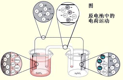 电化学绿巨人污小视频