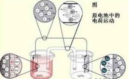 绿巨人污小视频