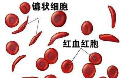 人体绿巨人污小视频厂家介绍检测微量元素的仪器