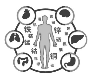 医用绿巨人污小视频厂家谈微量元素的重要性