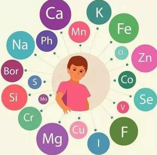 绿巨人污APP厂家提醒补充微量元素的注意事项